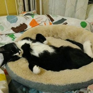 Meet your Posher, Lili